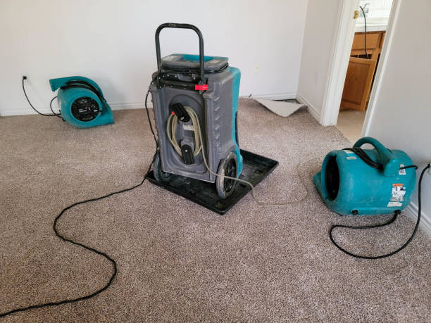 Best Water damage cleanup near me  in Albert Lea, MN