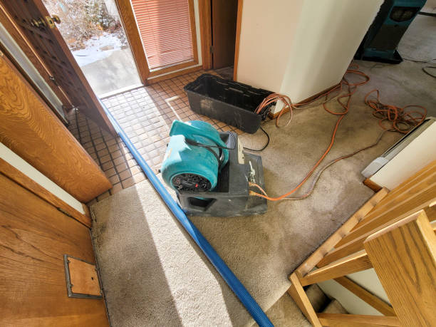 Best Water damage cleanup near me  in Albert Lea, MN