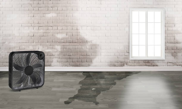 Water damage restoration experts in MN