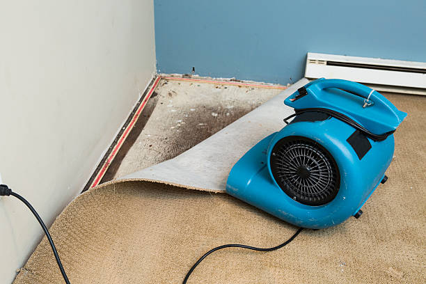 Best 24-hour water damage restoration  in Albert Lea, MN