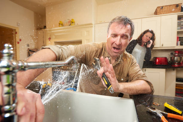 Best Emergency water extraction  in Albert Lea, MN